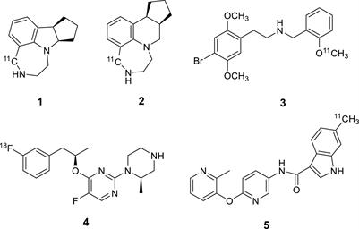 Synthesis and Evaluation of [11C]7-Halogen-2-Phenyl Isoindolone Derivatives: Potential PET Radioligands for in vivo Imaging of 5-HT2C Receptors